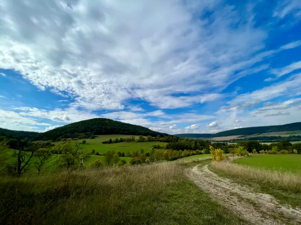 vachdorf_wolfsberg