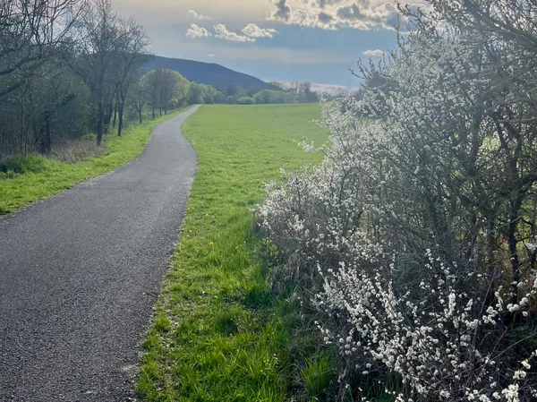 vachdorf_fahrradweg_leutersdorf_vachdorf