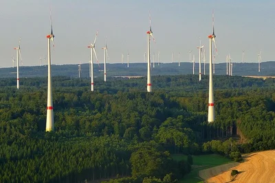 Änderung des Thüringer Waldgesetzes tritt in Kraft