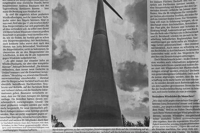 Strom und Windkraft oder gesunder Wald?