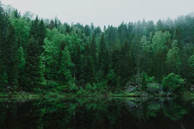 Die Zukunft unserer Heimat