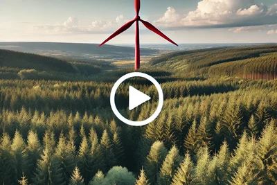  Natur vs. Windräder