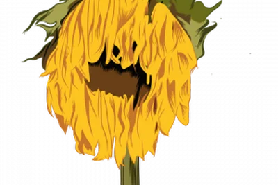 Die GRÜNEN im Thüringer Landtag lehnen die Ausweisung des „Kleinen Thüringer Waldes“ zum Landschaftsschutzgebiet ab